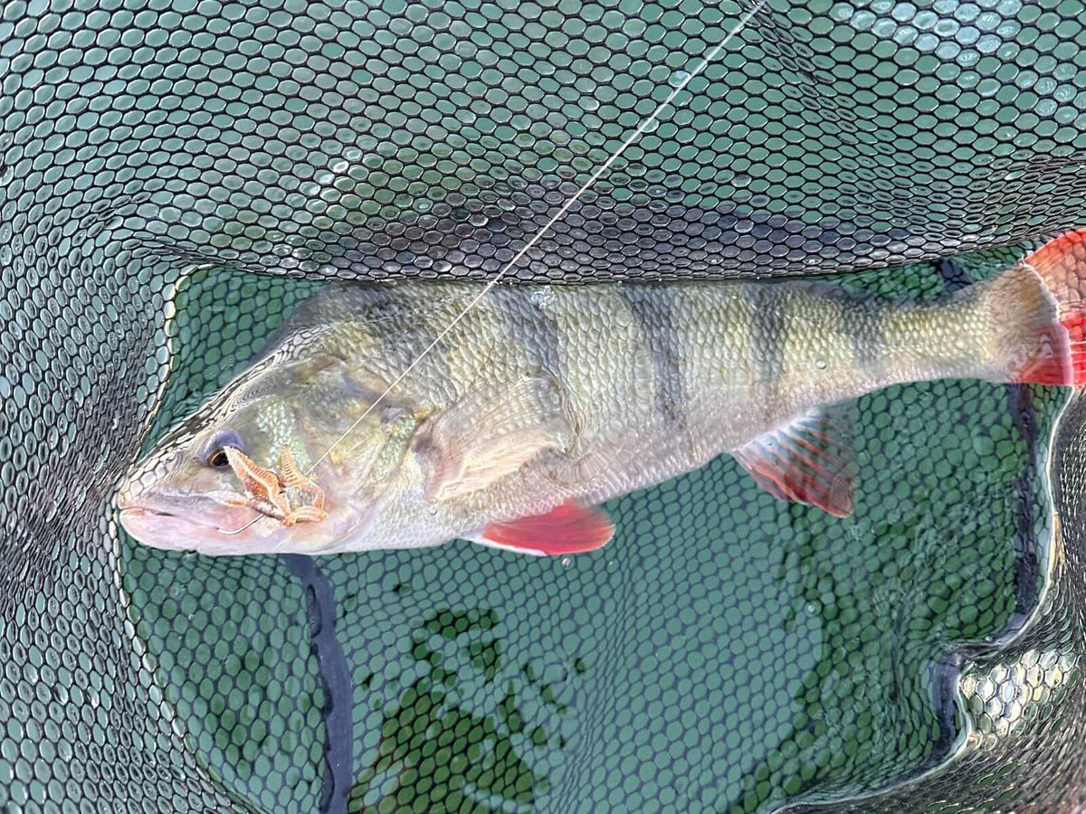 best fishing lure for nepa lake or river fishing Another great weekend to fishing poles Model:XT-C-992XH