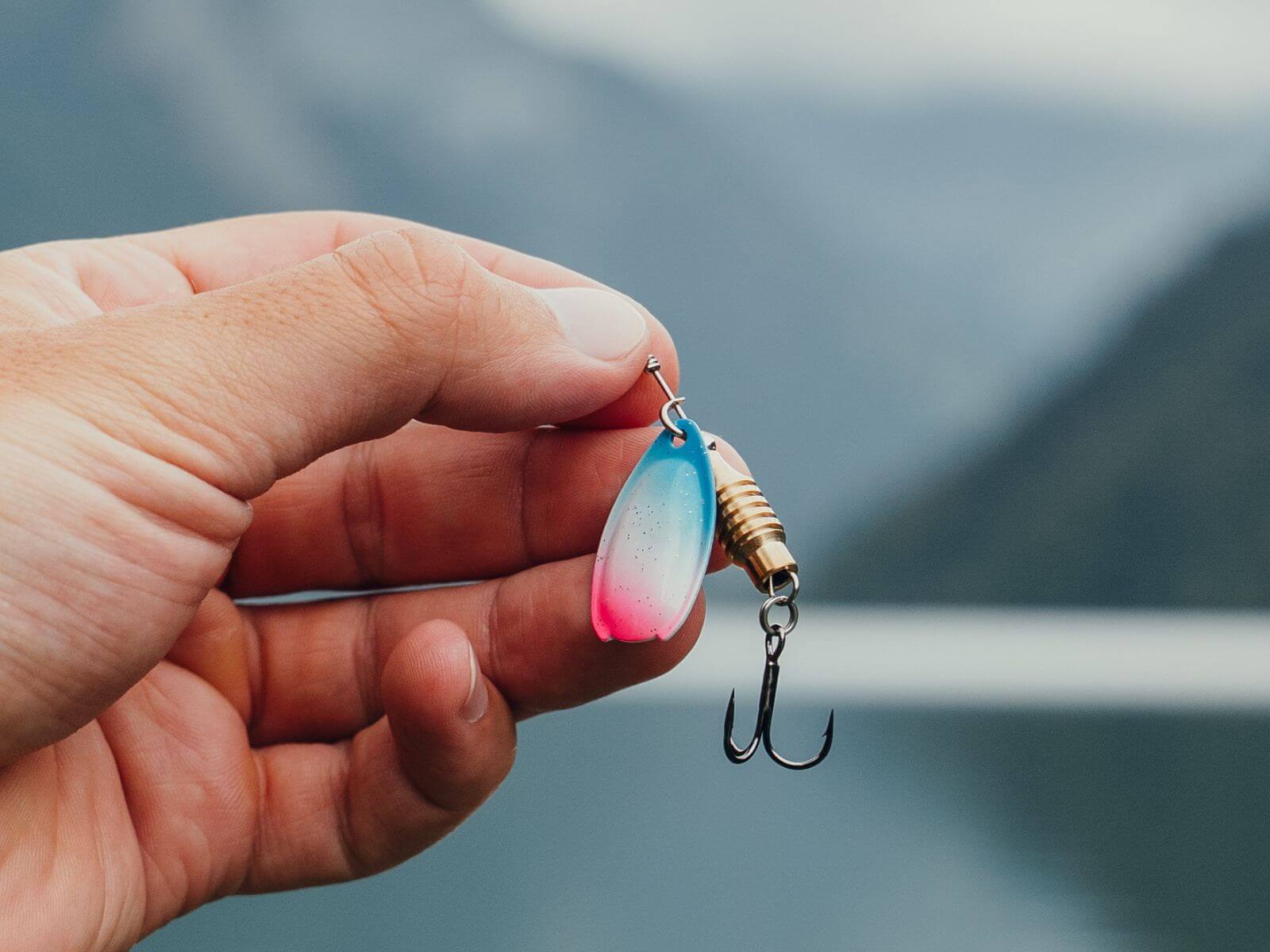 best lure for salmon trout SALTA Shimano Catana Vs Sienna: Model:TTEL711HFB LGSS106MM2