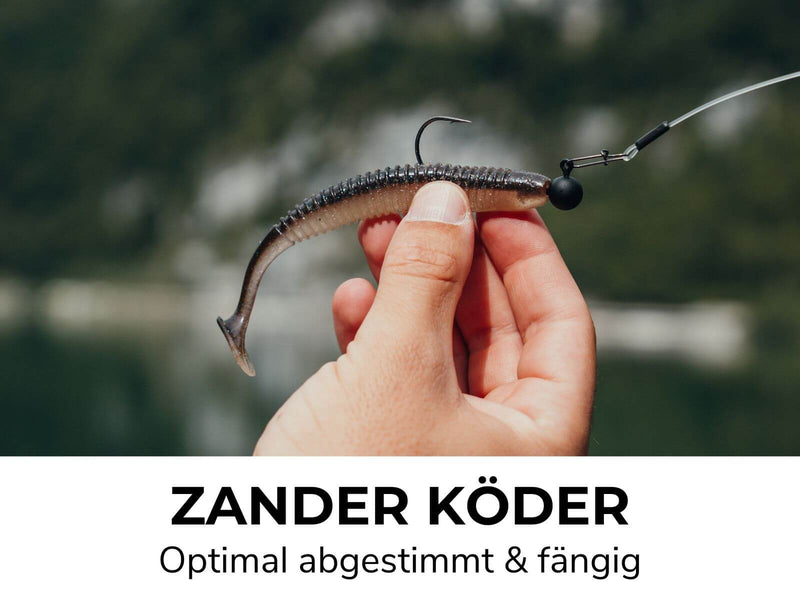 ZANDER GO KIT - Zander Starter Combo